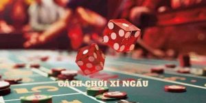 Cách Chơi Xí Ngầu - Chi Tiết Tại Nhà Cái Cá Cược KUwin